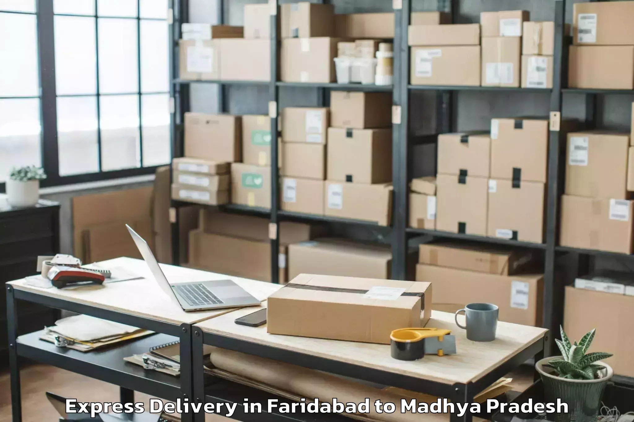 Trusted Faridabad to Malwanchal University Indore Express Delivery